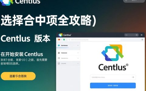 安装CentOS时，如何选择最佳安装选项？
