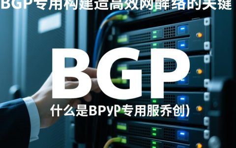 bgp专用服务器选购指南，为何选择bgp，如何挑选合适配置？
