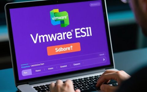 esxi紫屏报错，究竟是什么原因导致系统无法正常启动？