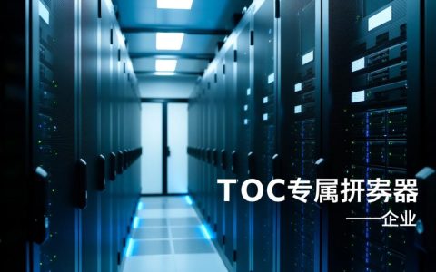 toc专属服务器为何如此独特？揭秘其背后的技术优势与市场定位之谜？