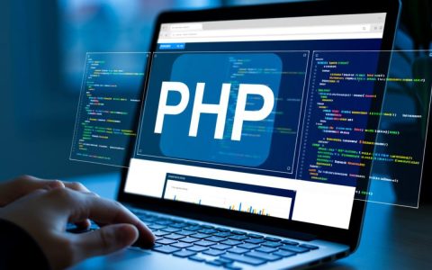 PHP网站数据导入过程中，如何确保数据准确性和效率最大化？
