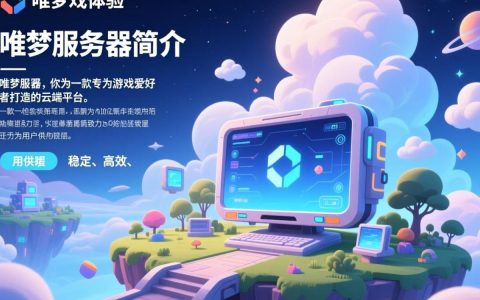 唯梦服务器为何如此受欢迎？揭秘其独特魅力与用户评价之谜？
