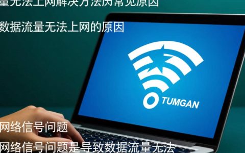 为何数据流量显示正常却无法上网？揭秘网络连接异常之谜！
