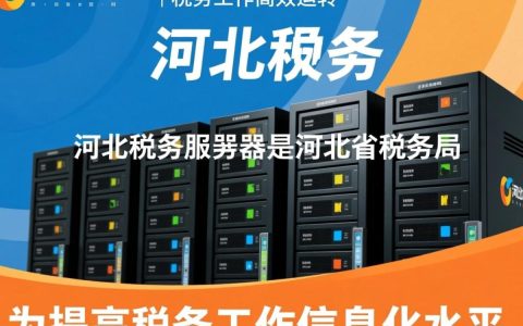 河北税务服务器近期有何神秘动向？性能升级还是安全隐患？揭秘真相！