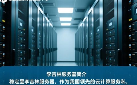 李杏林服务器为何如此神秘？揭秘其背后的故事与功能！
