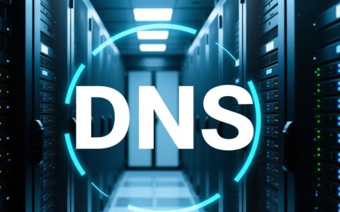为何服务器首选dns成为行业共识？揭秘关键优势与选择理由