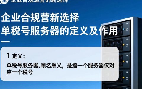 单税号服务器是什么？为何如此备受关注？揭秘其独特功能和优势。