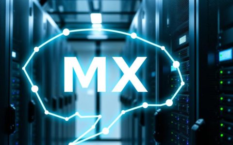 mx服务器资源为何如此热门？揭秘mx服务器资源的优势与用途？