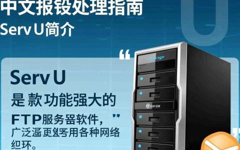 Serv U 中文报错是什么原因导致的，该如何解决？