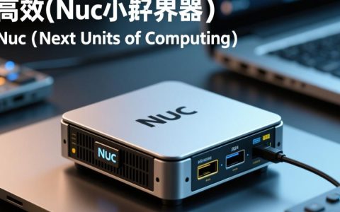 nuc小服务器，性能与便携如何平衡？性价比高的选择有哪些？