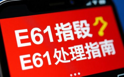 e61报错解决难题指南，30字内常见原因及排查方法揭晓？