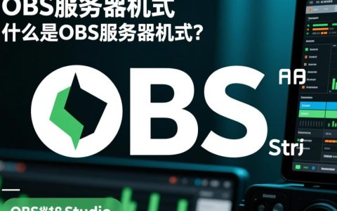 obs服务器格式有哪些？选择合适的格式对直播质量有何影响？