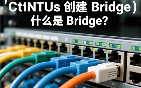 CentOS系统下如何正确创建Bridge网络，步骤详解？