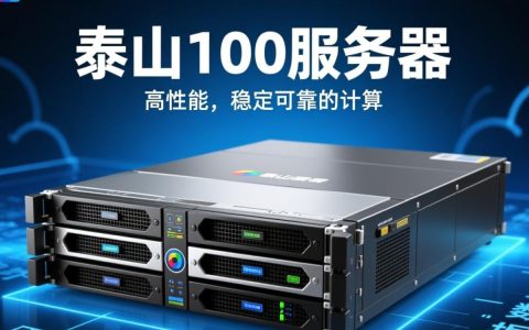 泰山100服务器性能卓越，为何市场反响平平？揭秘其未遇热销之谜！