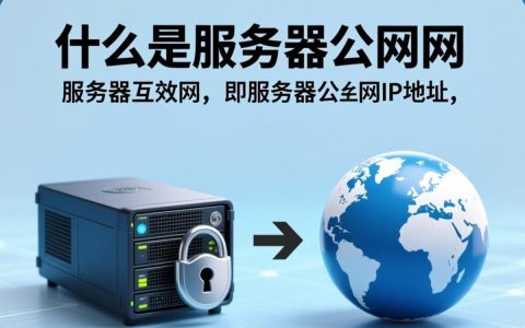 为何企业普遍选择使用服务器公网？探讨其优势与挑战。