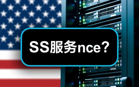美国SS服务器为何如此受欢迎？揭秘其独特优势与全球用户青睐之谜。