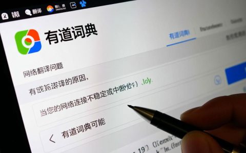为何有道词典在翻译时遇到无法解析的词汇问题？
