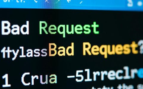 为什么我的Python程序会频繁出现bad request错误？原因解析与解决方法。