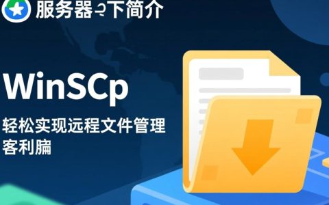使用Winscp服务器下载文件时，有哪些常见问题或技巧值得注意？