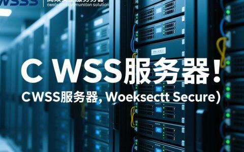 C WSS服务器是什么？其功能及应用场景有哪些？