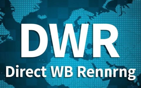 DWR返回对象时频繁报错，是什么原因导致的？如何有效解决？