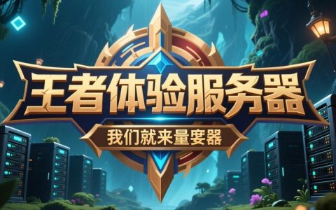 王者体验服务器究竟有何独特之处，能让玩家们翘首以盼？