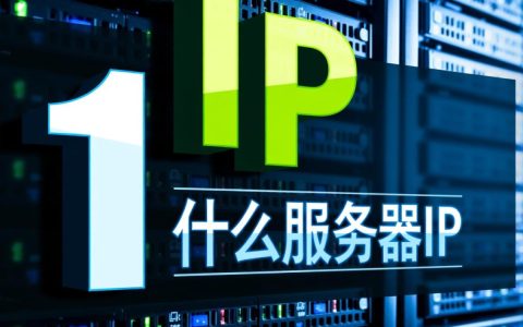 1.5.2服务器IP查询与使用疑问，具体操作步骤及注意事项是什么？