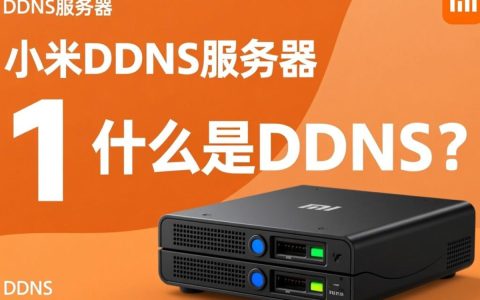 小米ddns服务器为何如此受欢迎？揭秘其背后的技术优势与使用疑问！