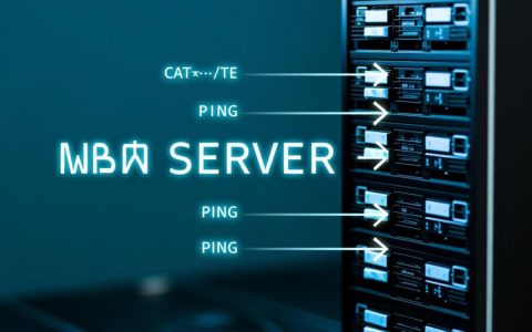 为什么ping服务器速度不稳定，时而快时而慢？原因揭秘