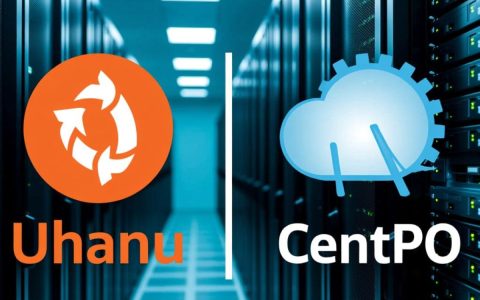 Ubuntu与CentOS，如何选择最佳服务器程序，实现高效部署？