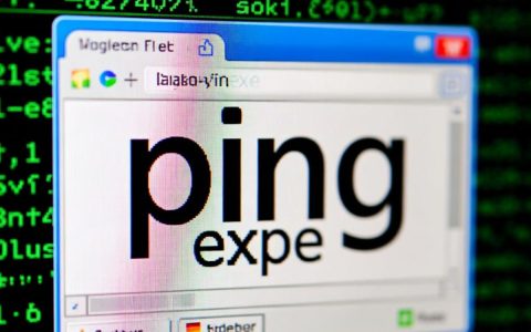 ping.exe报错是什么原因导致的？如何快速解决？