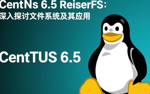 CentOS 6.5 系统中如何正确转换reiserfs文件系统格式？