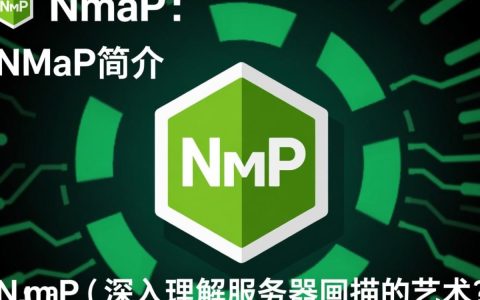 nmap扫描服务器时，如何确保扫描过程不引起服务器异常？