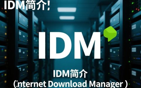 IDM服务器为何频繁出现繁忙状态？背后原因是什么？