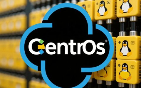 CentOS如何查看运行中的具体服务？高效诊断服务状态技巧大揭秘！