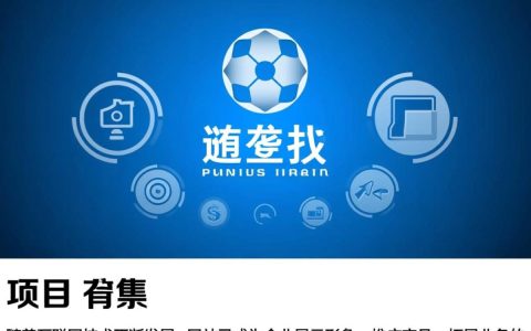 网站设计需求书中如何准确把握用户需求和实现创新设计理念？