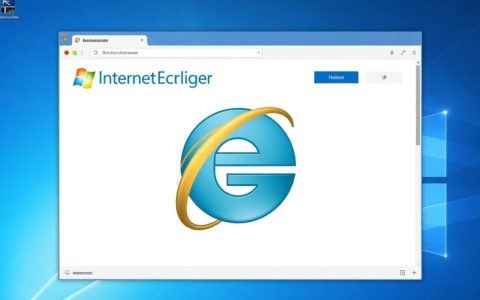为何我的win10系统中的IE浏览器无法正常使用？是配置问题还是其他原因？