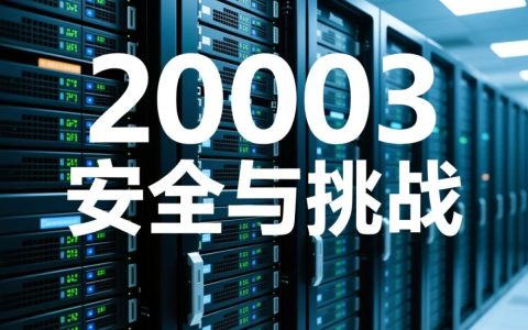 银行服务器2003银行系统升级换代，面临哪些技术挑战和风险？