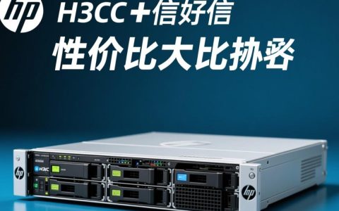 惠普服务器与H3C服务器性价比之争，究竟谁更胜一筹？