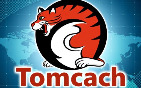 如何准确访问外网服务器上的Tomcat地址？方法详解与技巧分享！