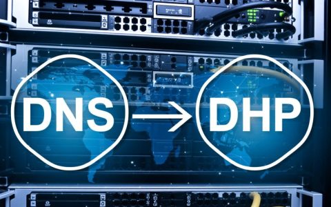 DNS服务器和DHCP服务器的作用是？它们在网络配置中扮演什么关键角色？
