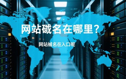 网站域名究竟注册在哪个服务提供商？揭秘域名注册全过程疑问