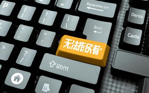 揭秘，为何我们无法指定‘老板键’，这背后隐藏什么秘密？