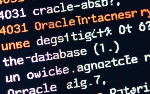 Oracle数据库4031错误处理方法详解，如何有效解决此问题？
