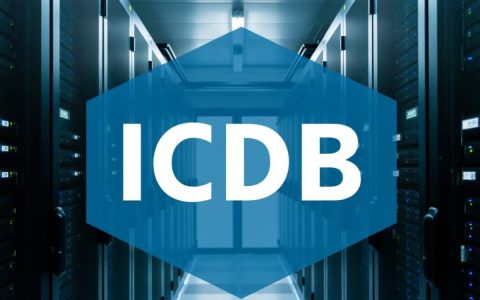 icdb服务器监控，如何确保数据安全与系统稳定运行的有效策略？