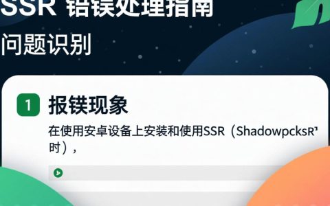 安卓ssr报错