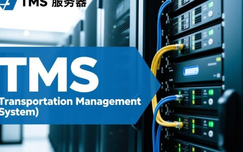 TMS服务器配置有哪些关键步骤和注意事项？