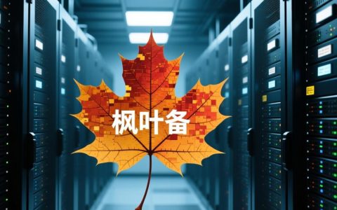 枫叶服务器警车背后隐藏的神秘技术与应用之谜？