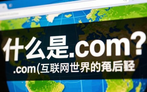 网站后缀.com是否真的比其他后缀更具优势，影响用户体验和搜索引擎排名？
