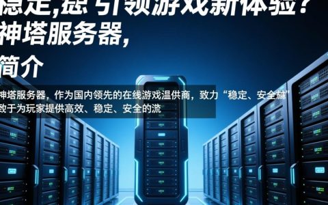 神塔服务器究竟有何神秘之处，为何吸引众多玩家热捧？